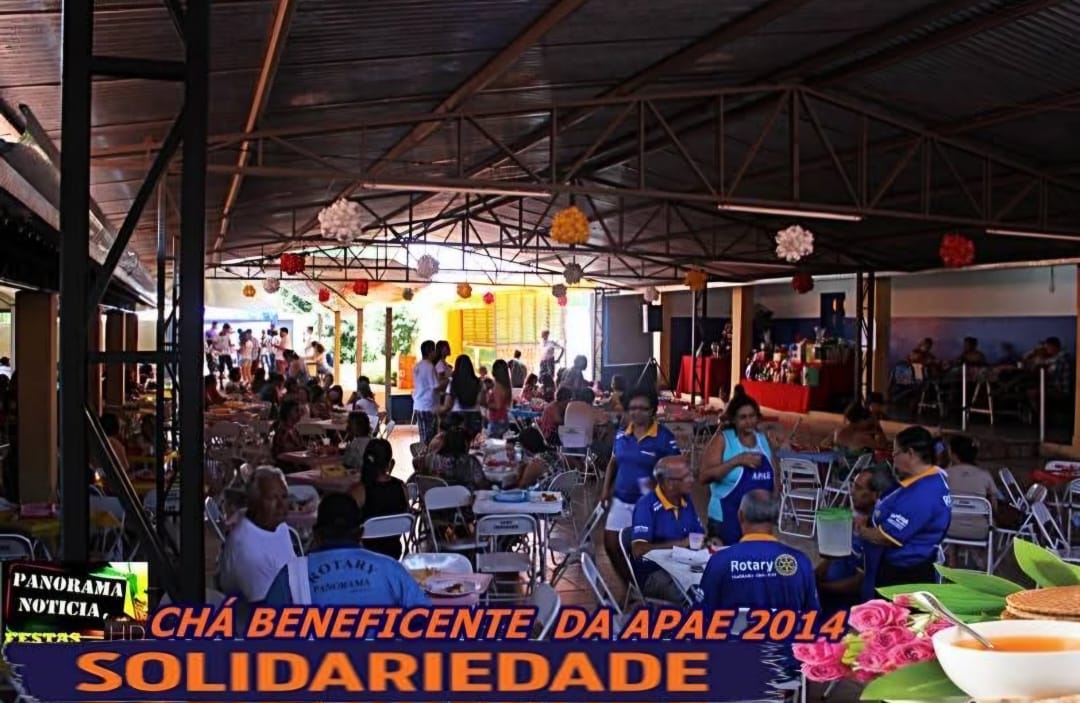 Notícia 5